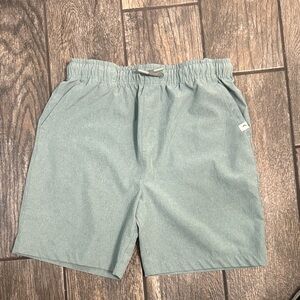 Tommy Bahama Kids Light Green Shorts